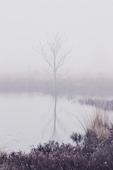 16_02_18_07