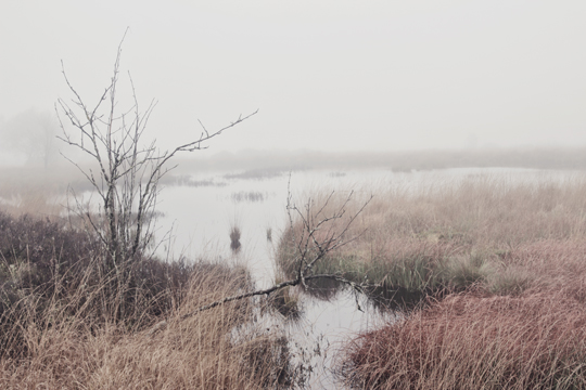 16_02_18_12