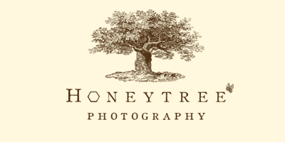 Honeytree Photography